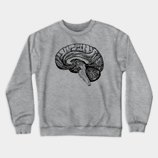 Vintage illustration of a human brain Crewneck Sweatshirt by mike11209